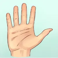 Hình dáng bàn tay có thể nói lên tính cách của một người