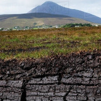 Nguy cơ phát thải khí CO2 từ các đầm lầy than bùn Trung Phi