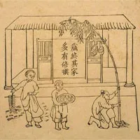 Tết nhà nhà dựng cây nêu, nhưng thực sự "nêu" là cây gì?