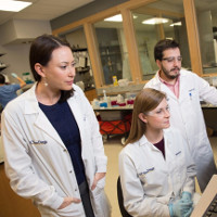 Kỹ thuật mới giúp chẩn đoán nhiễm khuẩn huyết chỉ mất vài giờ