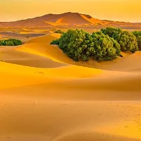 Phải chăng chính con người đã biến Sahara thành sa mạc?