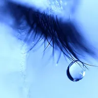 Nếu nghĩ nước mắt chỉ có 1 loại thì bạn đã nhầm rồi, có tận 3 loại cơ