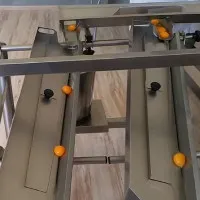 Video: Cỗ máy tách gần 20.000 quả trứng mỗi giờ