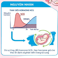 Bà bầu làm gì khi bị nôn ói do thai nghén?