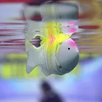 Trung Quốc chế tạo cá robot thân mềm đo độ mặn nước biển