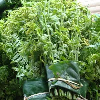 4 loại "rau trường thọ" được Trung Quốc ca ngợi lại mọc nhan nhản ở Việt Nam