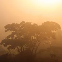 Nếu lượng CO2 tiếp tục tăng, Trái Đất sẽ quay trở về thời kỳ khủng long xuất hiện