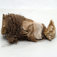 Rùng mình trước các cách phá thai đáng sợ có từ thời cổ đại