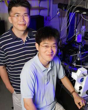 Vòng đời của một Protein quan sát bởi giải pháp đơn phân tử