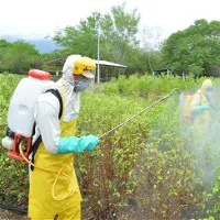 Nghiên cứu thành công thuốc diệt nấm sinh học chống bệnh thán thư