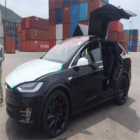 Ôtô điện Tesla Model X đầu tiên về Việt Nam