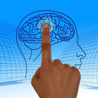 Não của con một khác với não những người có anh chị em