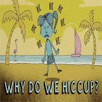 Video: Quá trình hình thành những cơn nấc cụt ở người.