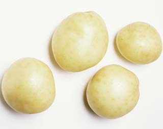 Anh sẽ sản xuất khoai tây biến đổi gen cho năm 2015?