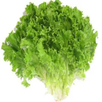 Những loại thực phẩm giàu vitamin K bạn cần biết