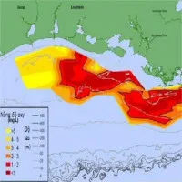 "Vùng chết" trên vịnh Mexico mở rộng kỷ lục