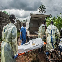 Sau Ebola và Zika, đại dịch bệnh tiếp theo có thể đã bắt đầu mà chúng ta chưa hề biết