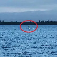 Sinh vật cổ dài giống quái vật hồ Loch Ness ở Nga