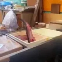 Cá mất đầu, lọc sạch xương vẫn "nhảy tưng tưng" trên khay, tại sao lại vậy?