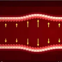 Video: Hai loại huyết áp trong cơ thể