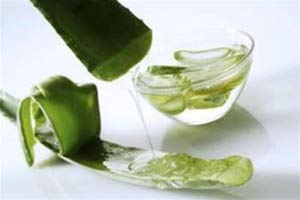 Cách dùng cây nha đam chữa bệnh