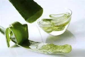 Cách dùng cây nha đam chữa bệnh