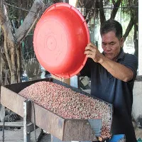 Lạc rớt giá, "tức quá" sáng chế ra máy ép dầu