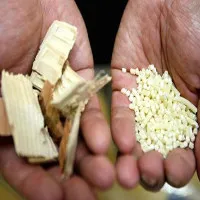Nhật Bản muốn lấy gỗ làm phụ tùng ô tô cho nó nhẹ