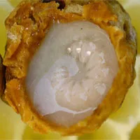 Bí mật trong sữa ong chúa giúp nhanh chóng làm liền vết thương