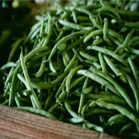 Lợi ích sức khỏe mà ít người biết của quả đỗ xanh