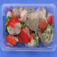 Thức ăn mốc có an toàn không?