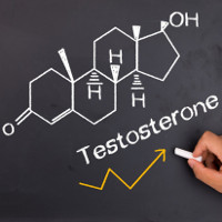 Đàn ông tăng testosterone sẽ 