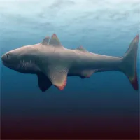 Không phải Megalodon, đây mới là kẻ đầu tiên "thống trị" đại dương