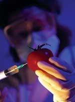 Phát huy nguồn gien quý