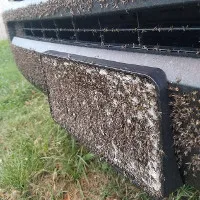 Bão Harvey vừa tan, xuất hiện đàn muỗi hàng triệu con "xâm chiếm" Texas