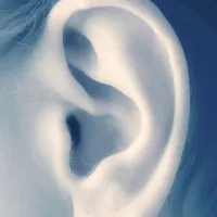Con người có thể "nhìn" bằng âm thanh như loài dơi?