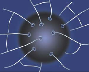 Các xu hướng thống nhất trong vật lý học