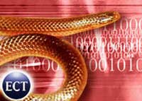 Cuộc tấn công của sâu IM tự động là điều khó tránh