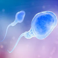 Tinh dịch chính là một "bể chứa virus"