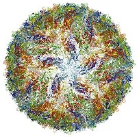 Tính ứng dụng của kỹ thuật chụp phân tử sinh học giành giải Nobel