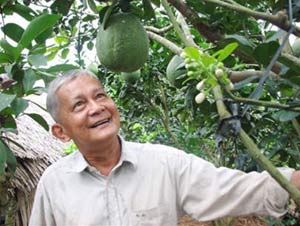 Ngồi dưới gốc cây nghiên cứu khoa học