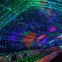 Vườn rau kỹ thuật số có một không hai tại Nhật Bản