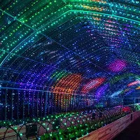 Vườn rau kỹ thuật số có một không hai tại Nhật Bản