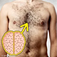 Sự thật bất ngờ: nam giới lông càng nhiều thì càng thông minh
