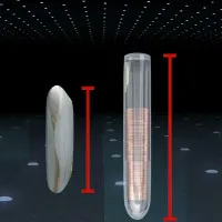 Video: Công dụng của chip hạt gạo siêu nhỏ cấy vào bàn tay
