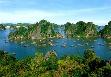 Một đàn cá heo thường xuyên xuất hiện tại vườn quốc gia Bái Tử Long