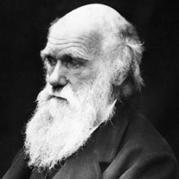 Hé lộ căn bệnh quái lạ đầy bí ẩn của nhà bác học Charles Darwin