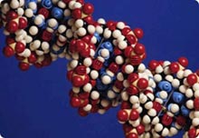 Tổ chức X Prize treo giải 10 triệu USD cho việc giải mã nhanh gien người