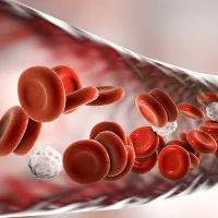 Tế bào máu của những bệnh nhân ung thư sống sót có hi vọng giúp bệnh nhân khác "khỏi bệnh"