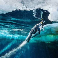 Phát hiện dạng sống kỳ dị, ăn khí độc trong hang ngập nước ở Mexico